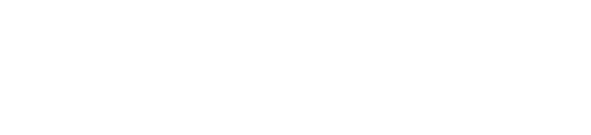 fMusic product wordmark