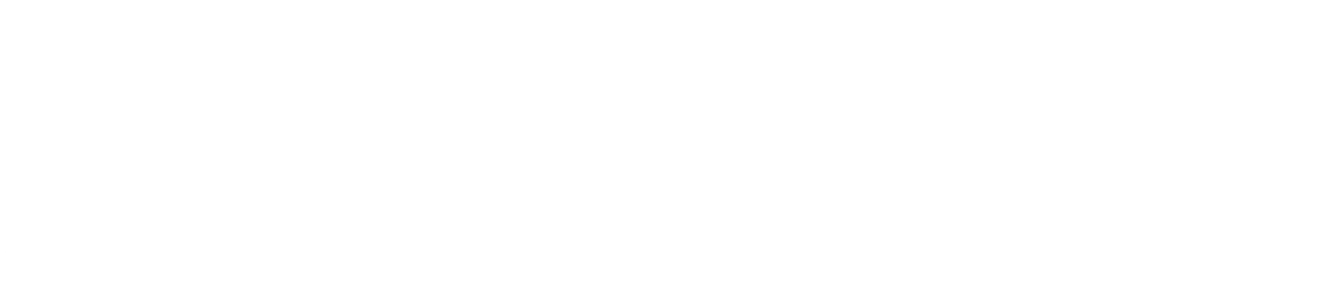 fCheck product wordmark